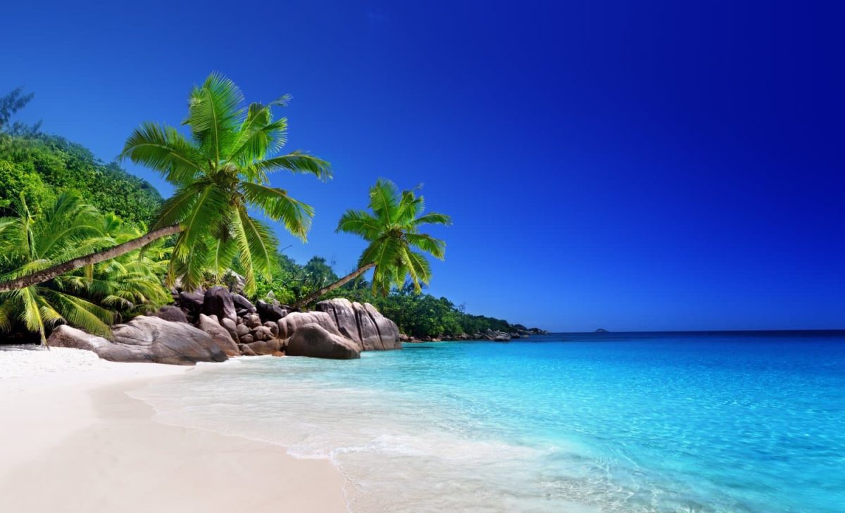 Quel est le temps qu’il fait aux Seychelles en janvier ?