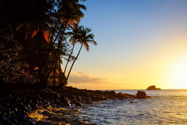 Que faire en Martinique ?