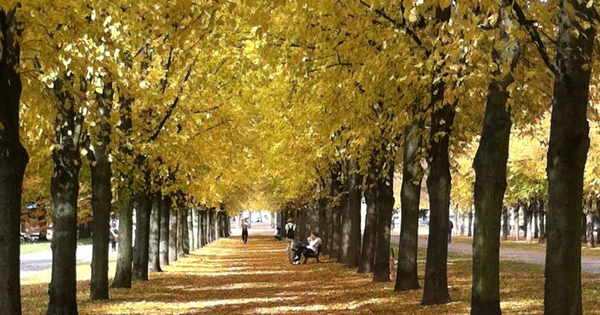 Pourquoi pleut-il davantage à l’automne ?