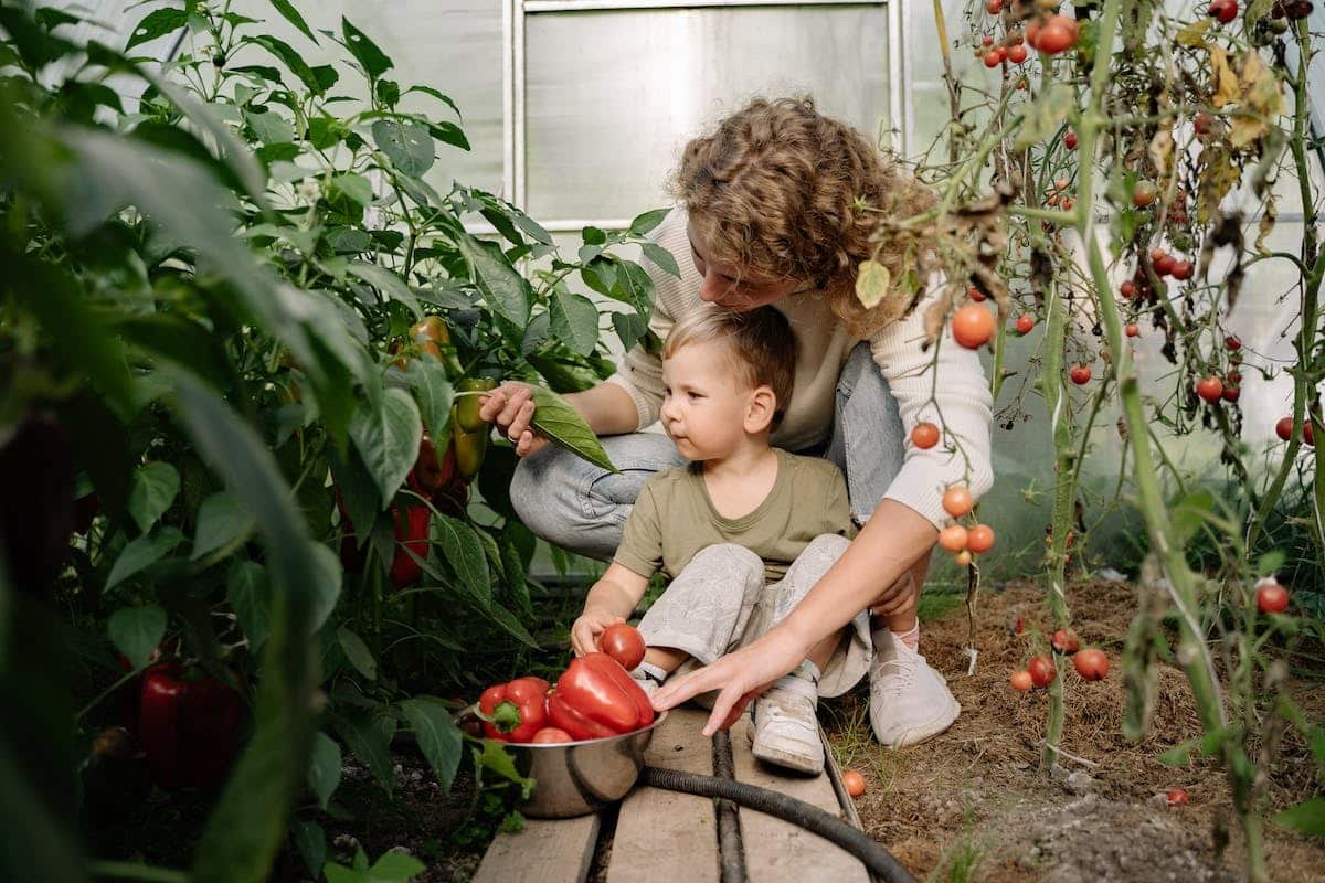 Éloge du jardinage écoresponsable : méthodes pour un jardin vert et sans déchet