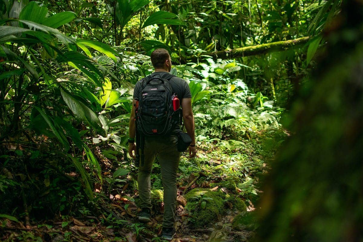 Prochaines tendances en matière de tourisme éco-responsable : explorer la planète de manière durable