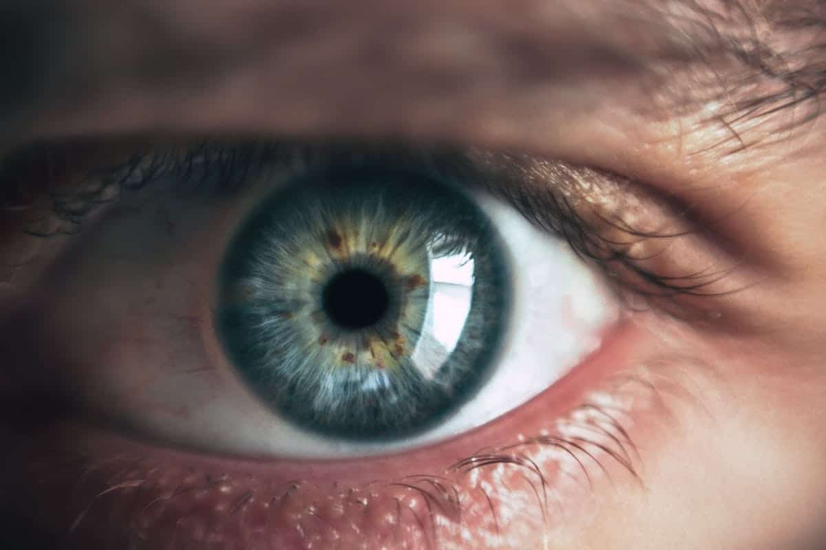 Un voyage gustatif pour la santé oculaire : les liens sous-estimés entre alimentation et vision