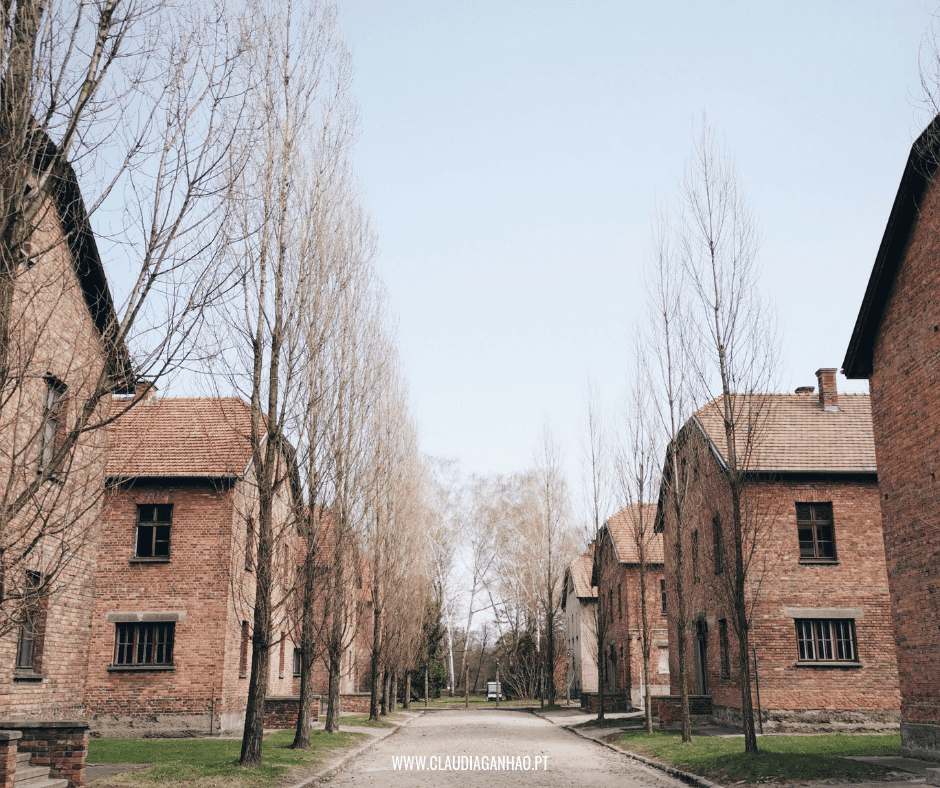 Pourquoi devrais-tu aller à Auschwitz ?