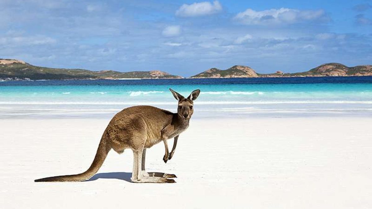 Pourquoi visiter l’Australie ?