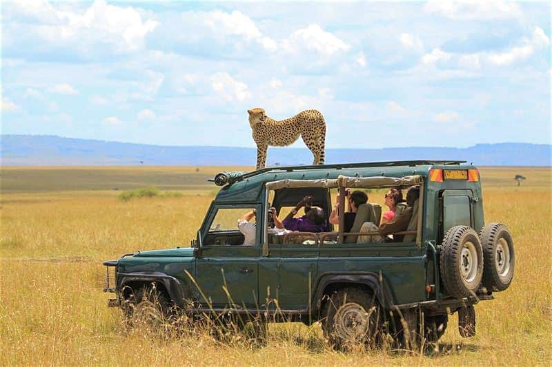 Combien pour faire un Safari en Afrique : 2021